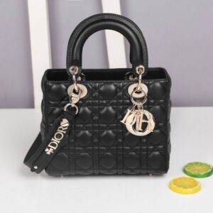 [국내배송]디올 레이디백