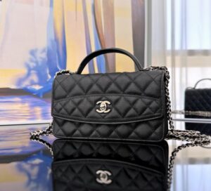 [국내배송]샤넬 25C 탑핸들 WOC AP4402